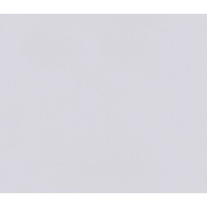 Erfurt Makulatur 88 Pro, überstreichbare Tapete für glatte Wände.