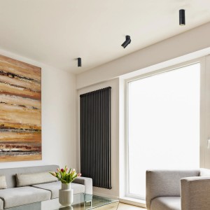 Wohnraum mit drei schwarzen, schwenkbaren SSC-LUXon TOBI-L LED Aufbauspots an der Decke.