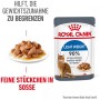 Royal Canin Light Weight Care Katzenfutter, Feuchtfutter in Soße für übergewichtige Katzen.