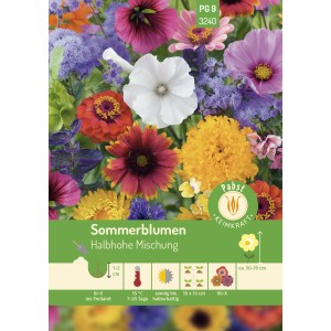 Pabst Keimkraft Sommerblumen Mischung Saatgut: Farbenfrohe, halbhohe Blumenvielfalt für Beet und Vase.