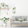 Relaxdays Pflanzen Vermehrungsstation Eichenholz Glas Natur Hängend 86 cm x 20 cm x 4,5 cm 360 g_5