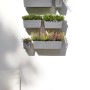 Ecopots Manhattan Wall Hängetöpfe in Grau, bepflanzt an einer weißen Wand.