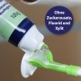 Canosept Dental Gel wird auf eine Hunde-Zahnbürste aufgetragen. Zahnpflege für Hunde.