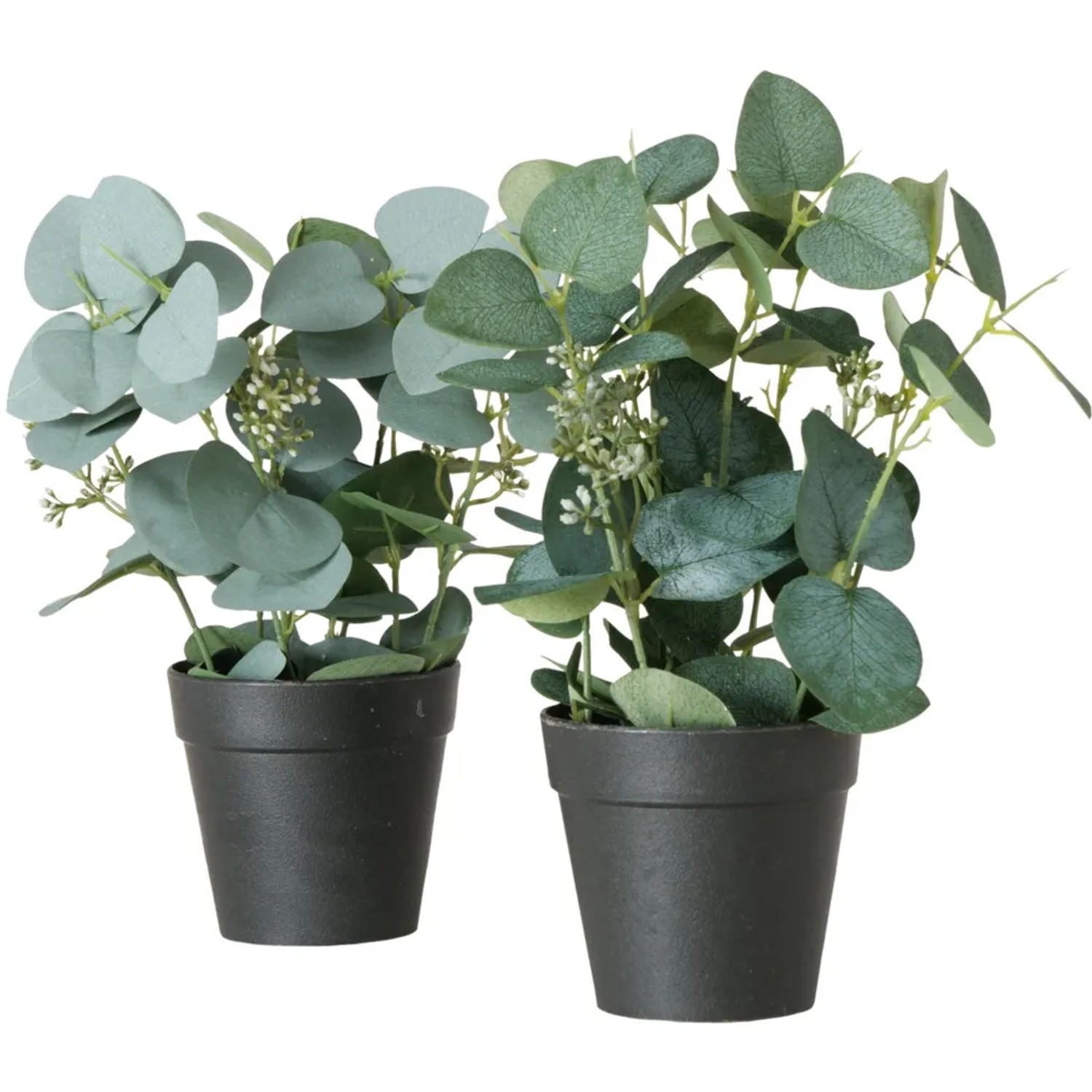 Boltze Künstlicher Eukalyptus im Topf grün 30 cm Ø 12 cm kaufen bei OBI