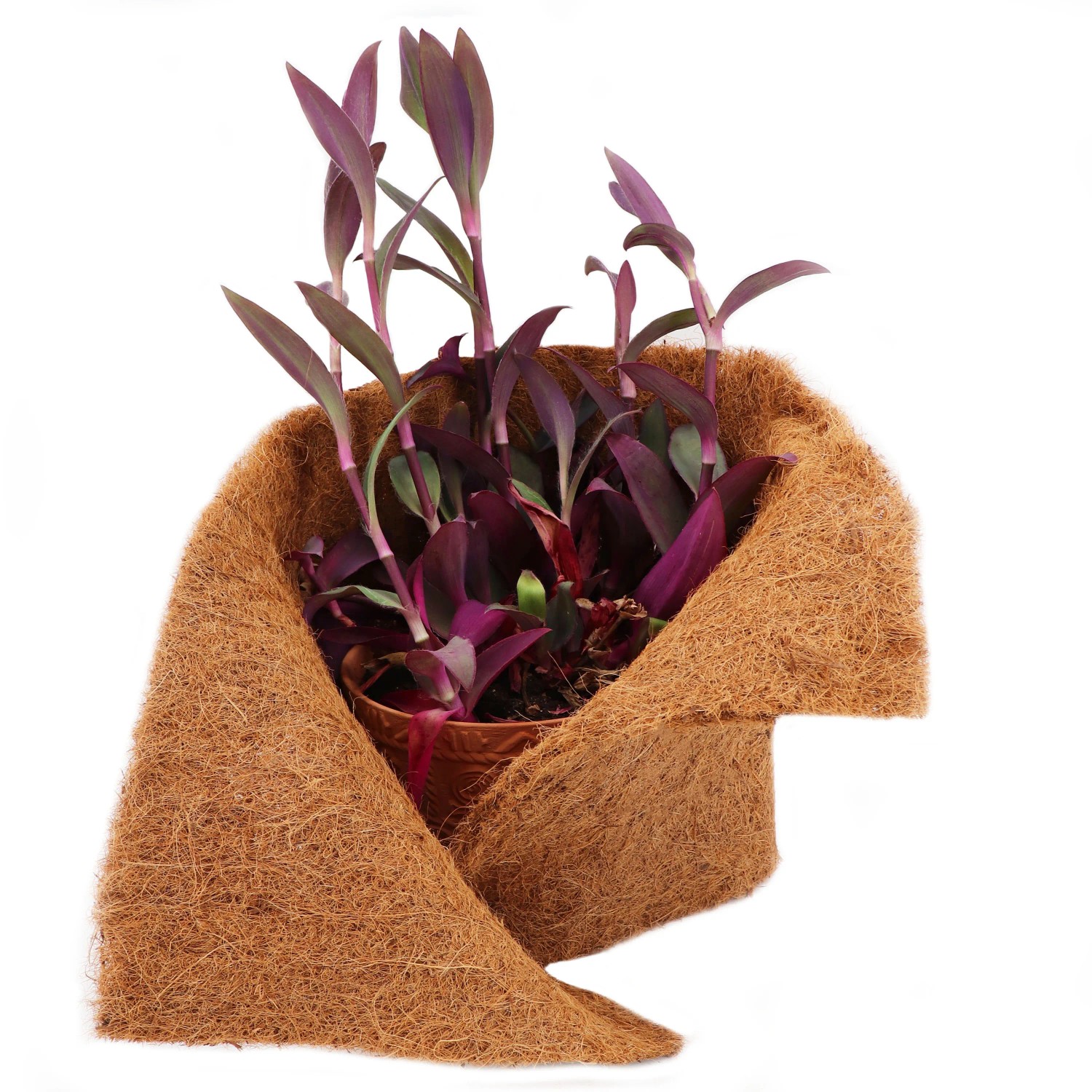 Aquagart Kokosmatte als Winterschutz für Pflanzen im Topf, Zubehör für Teichbepflanzung.