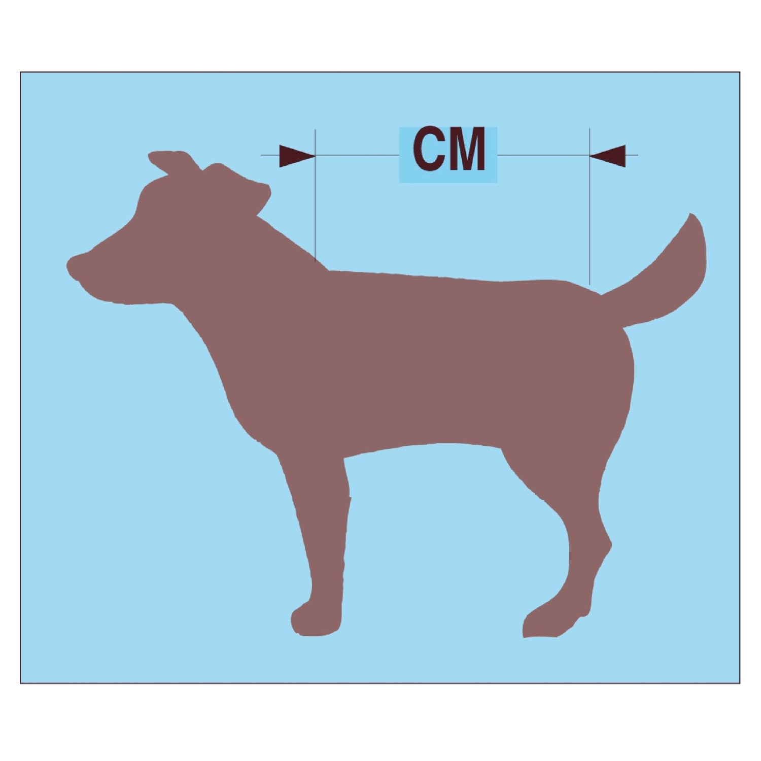 Grafik zur Messung der Rückenlänge eines Hundes für die Auswahl der richtigen Hundepullover Größe.