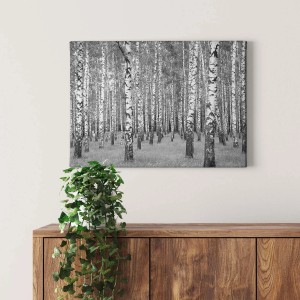 Schwarz-weißes Leinwandbild Birkenwald als Wanddeko für Wohnzimmer & Flur.