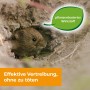 Wühlmaus im Gang, Protect Home Wühlmaus & Maulwurf Stopp-Kugeln zur Vertreibung.