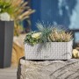 Lechuza Balconera Cottage 50, lichtgrauer Blumenkasten mit Bewässerungssystem und Flechtoptik.