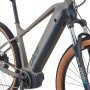 Prophete E-Bike MTB Dice 3.0, grau-schwarz matt, 29 Zoll, mit Mittelmotor und integriertem Akku.