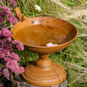 Dekorative rostbraune Metall Vogeltränke aus Cortenstahl mit Sockel und Ziervogel im Garten. Ideal für Wildvögel.