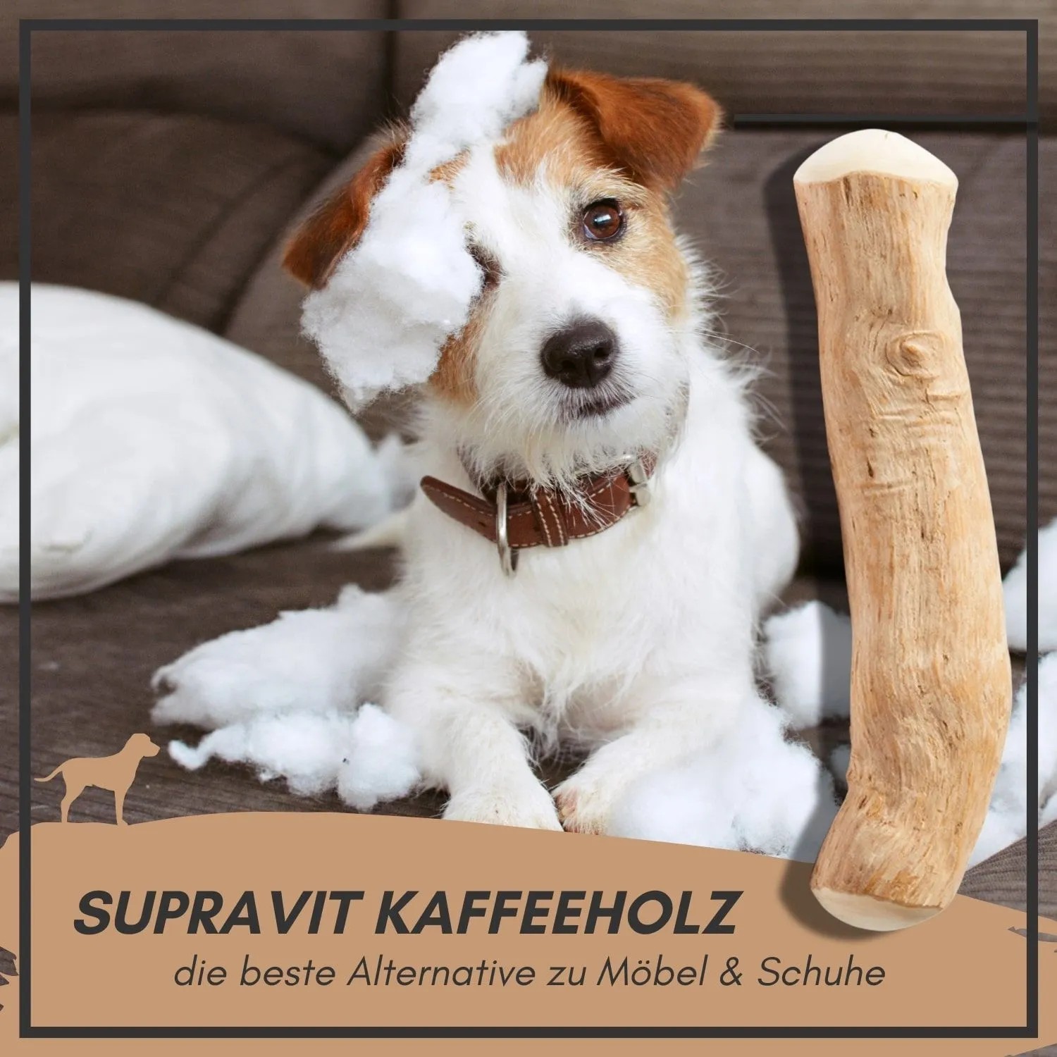Hund mit Supravit Kaffeeholz Kauknochen Größe L Kauspielzeug auf Couch mit Füllwatte.