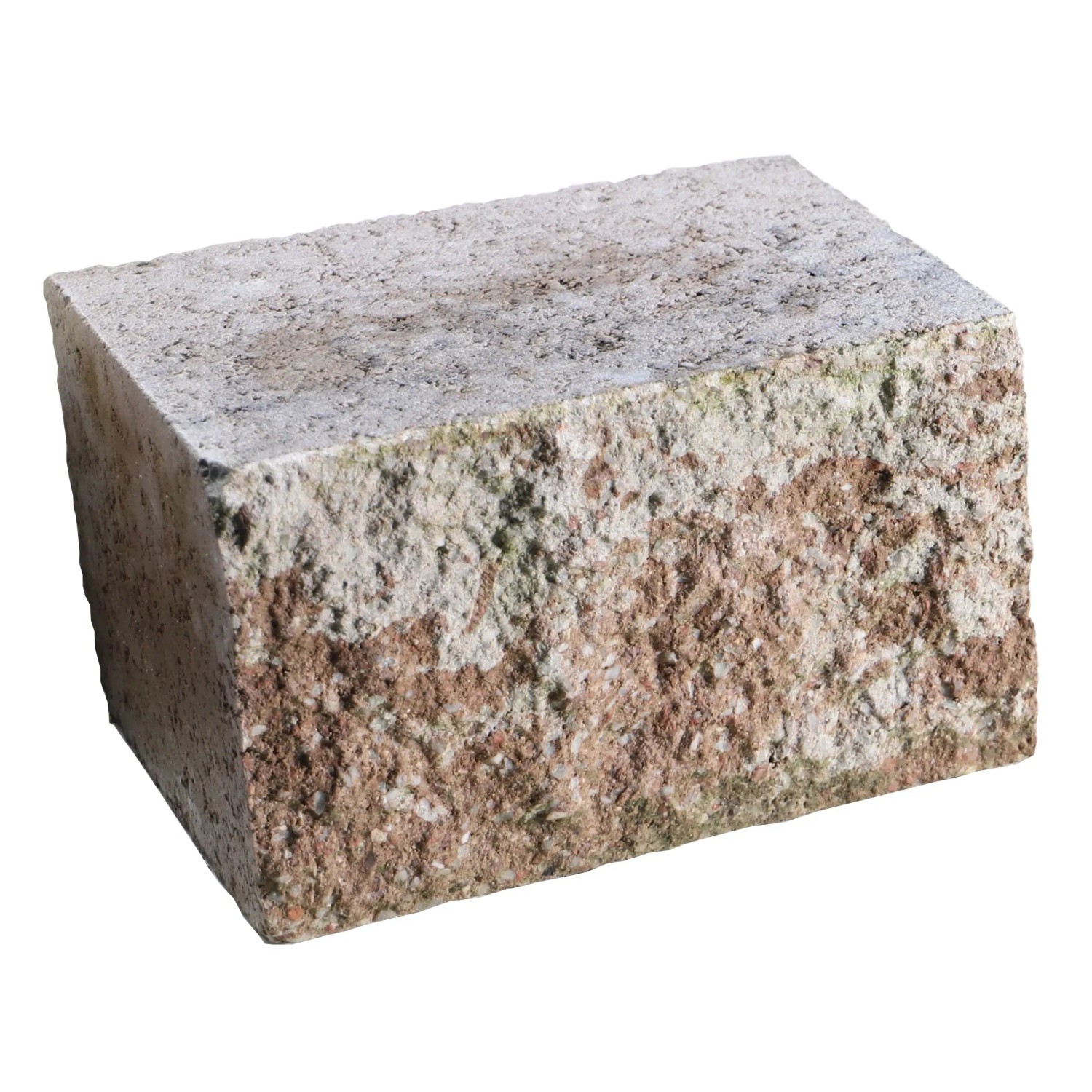 EHL Mauer Anzio-Light Halbstein 25 x 18 x 15 cm Muschelkalk