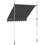 vidaXL Einziehbare Markise Handbetrieben 200 cm Anthrazit 143688_5