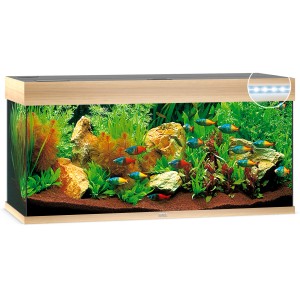Juwel Aquarium-Set Rio LED, helles Holz, 180 l, bepflanzt mit Fischen und Steinen.