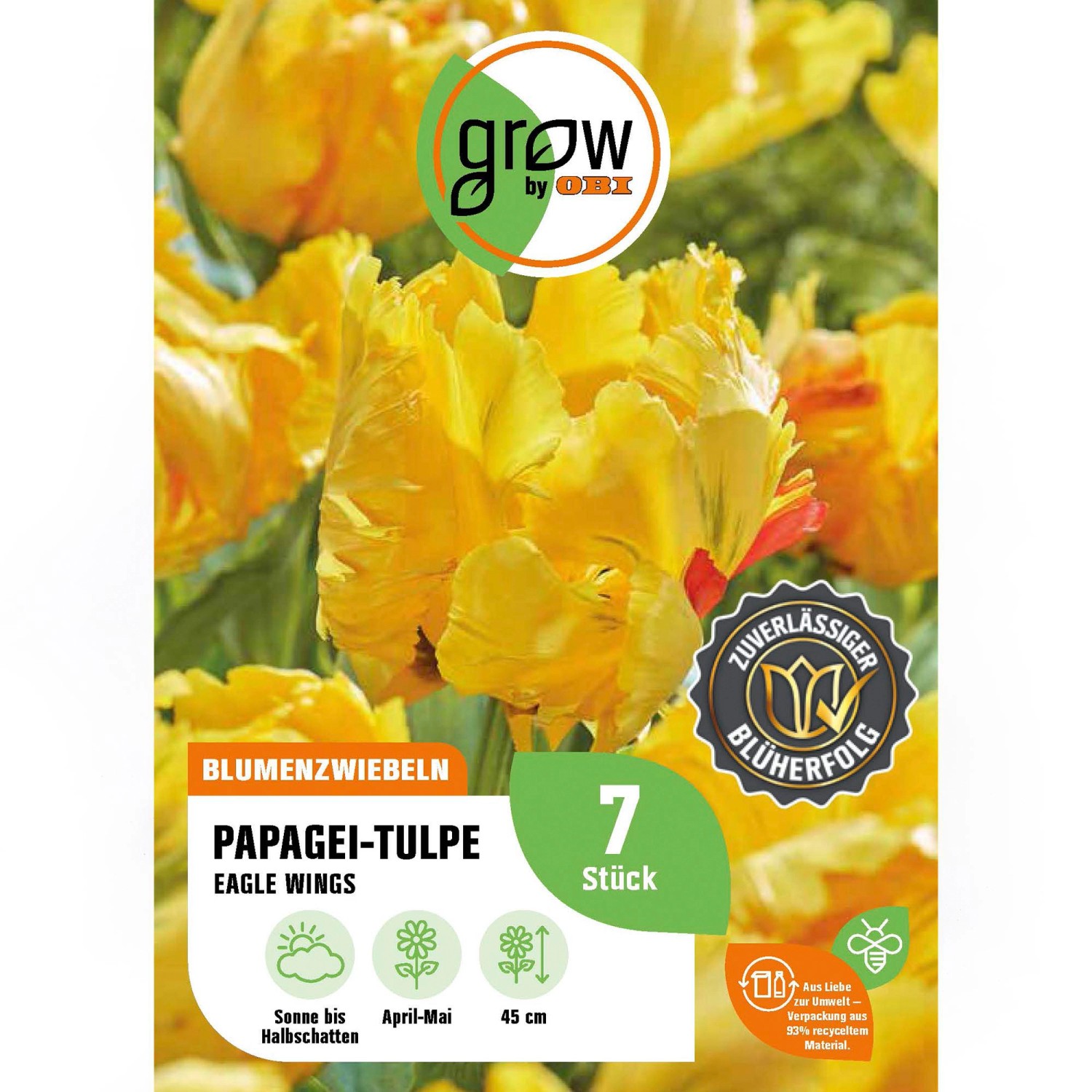 GROW by OBI Papagei-Tulpe Eagle Wings Gelb 7 Stück Tulipa parrot Eagle Wing günstig online kaufen