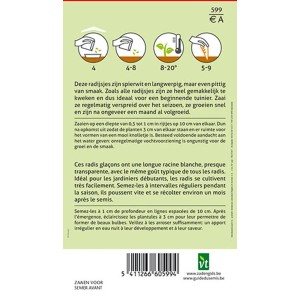 Radieschen Eiszapfen SamenCa. 8 grSchnelles Wachstum