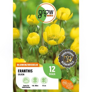 Gelbe Winterling Blumenzwiebeln (12 Stk.) der Sorte Eranthis Cilicia für sonnige bis halbschattige Standorte.