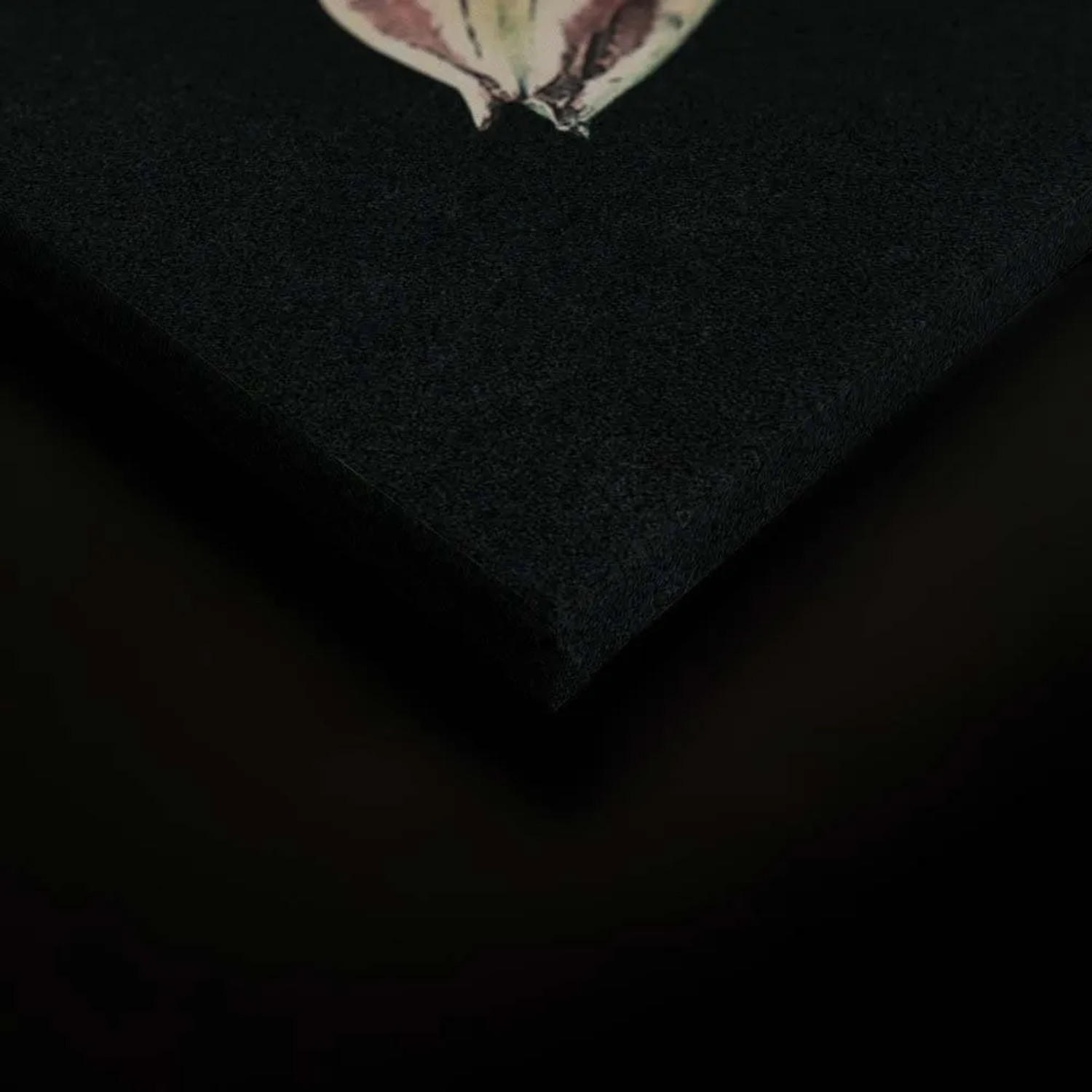 Leinwandbild mit Blumen in Schwarz und Rot, Detailansicht der Leinwandstruktur.