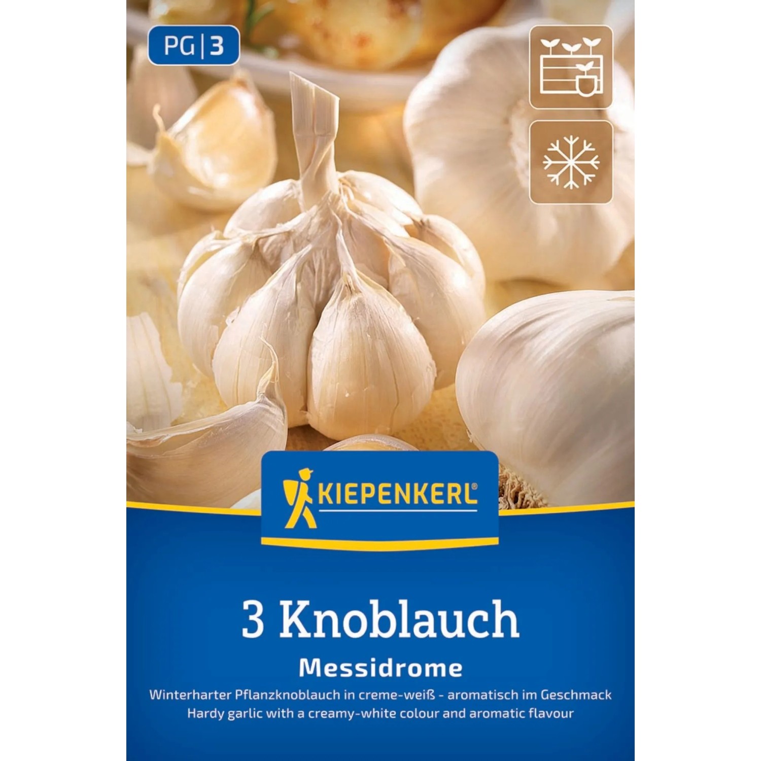 Kiepenkerl Steckzwiebeln Winterpflanzknoblauch Messidrome - weiß 3 Stück
