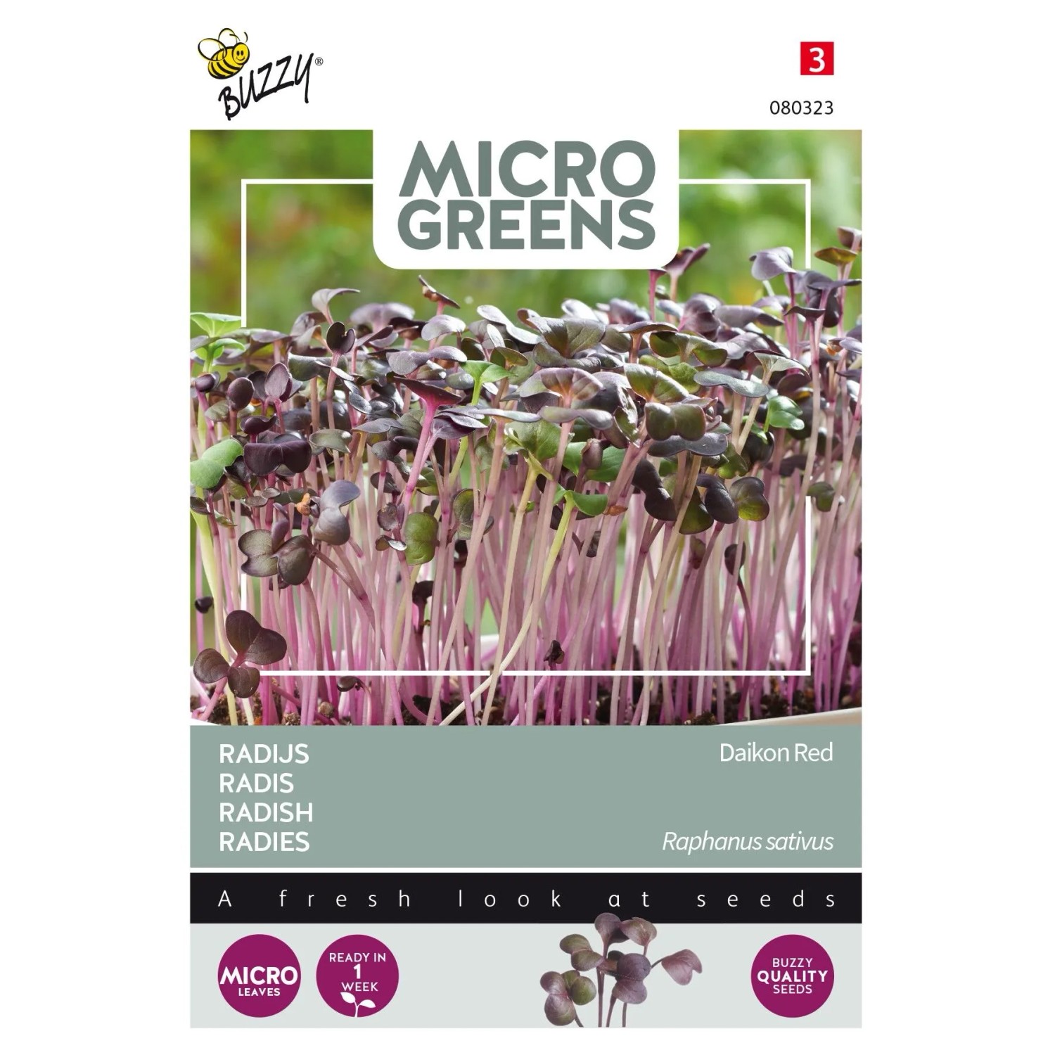 arborix Buzzy Microgreens Radies Daikon Rot SamenCa. 5 GrFrisch-würziger Geschmack