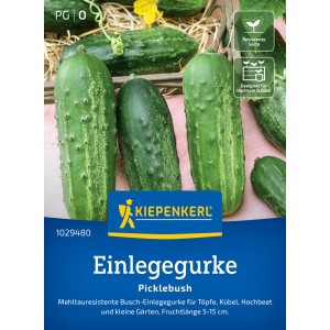 Kiepenkerl Einlegegurke Picklebush, dunkelgrüne Früchte, ideal für Kübel und kleine Gärten.