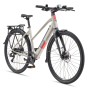 TELEFUNKEN UH210 E-Bike in Seidengrau: 28-Zoll-Damenrad mit Gepäckträger und LED-Licht.