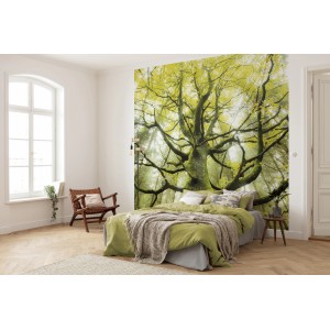 Vlies Fototapete „Der Traumbaum“ (300x280 cm) im Schlafzimmer, detailreicher Digitaldruck.