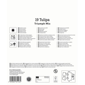 Rückseite der Kiepenkerl Triumph-Tulpen Mischung 19 Stück Blumenzwiebel-Packung mit Pflanz- und Produktinfos.