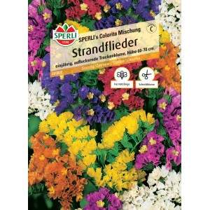 Sperli Strandflieder Colorita Mischung: Farbenfrohe Blumensamen für Beet und Vase.