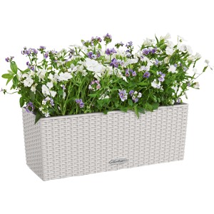 Lechuza Balconera Cottage 50, lichtgrauer Blumenkasten mit weißen und lila Blumen.