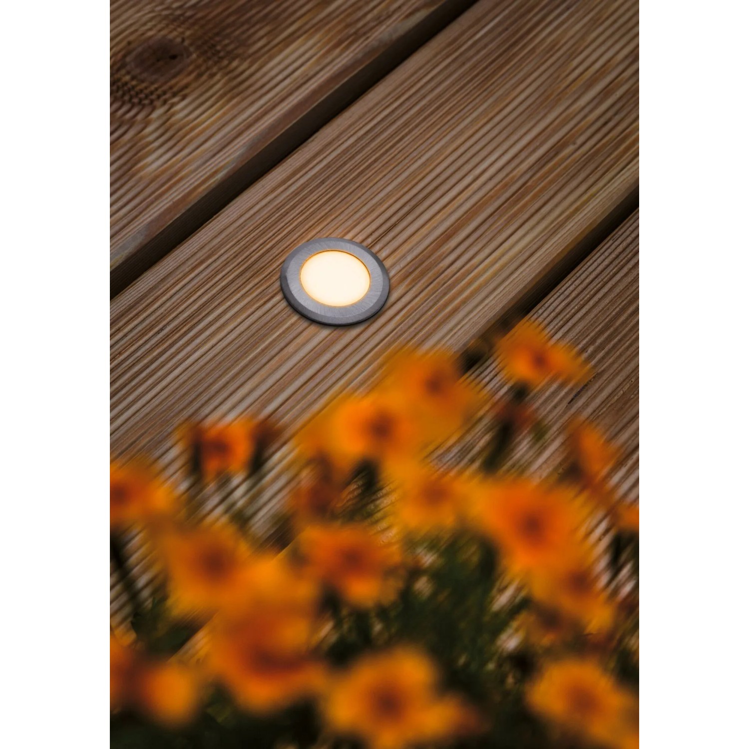 Runder Paulmann LED Bodeneinbaustrahler auf Holzterrasse, insektenfreundlich und mit warmem Licht.