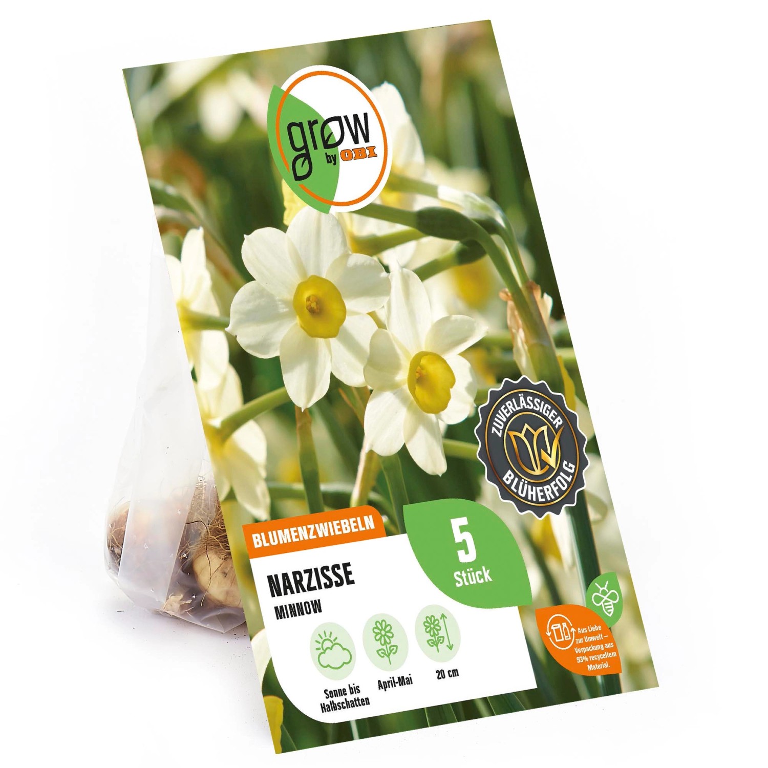 GROW by OBI Narzisse Minnow Gelb-Weiß 5 Stück Narcissus tazetta Minnow günstig online kaufen