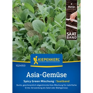 Kiepenkerl Asia-Gemüse Spicy Green Mischung als Saatband, verschiedene Blattsalate.