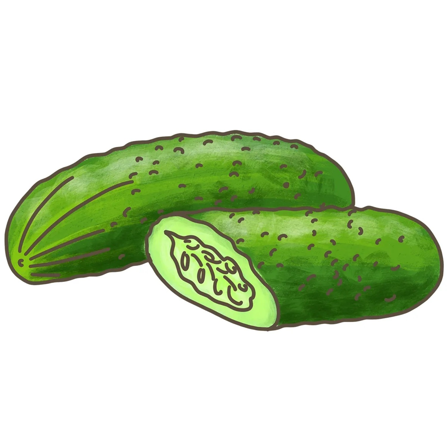 Zwei grüne Mini-Snack Gurken, eine angeschnitten, Kategorie: Fruchtgemüse.