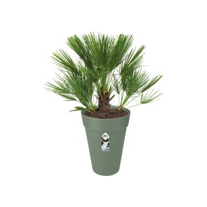 Elho Blumentopf Loft Urban, Ø 34 cm, 45 cm hoch, grün, mit Pflanze.