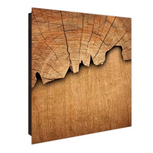 Banjado Schlüsselkasten Glas 30x30cm, Motiv Holz, 50 Haken, beschreibbar, magnetisch.