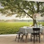 Vlies Fototapete 'The Magic Tree' (450x280 cm) mit Baum-Motiv im Wohnraum.
