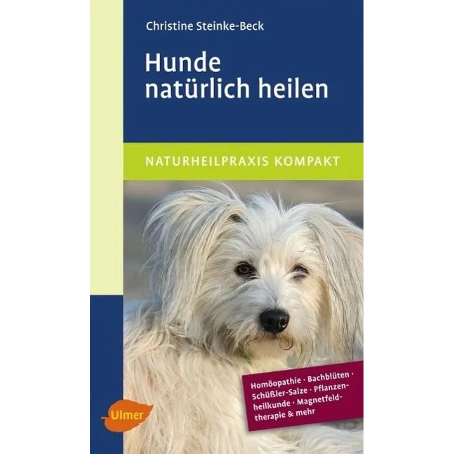 Hunde natürlich heilen