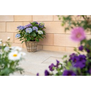 Diephaus Kana Sandstein Mauersteine als Gartenmauer. Robuste Betonwand mit blauer Hortensie im Korb.