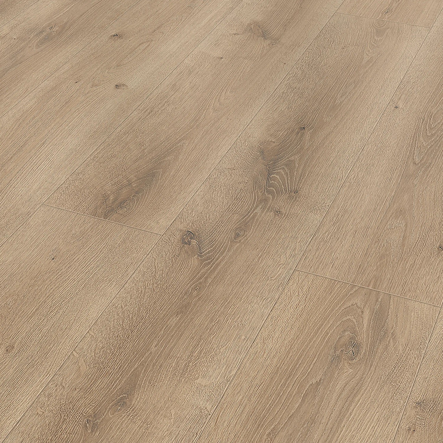 Classen Laminat, 8 mm, wasserfest, Eiche hellgraubraun. Holzoptik für Wohn- und Gewerberäume.