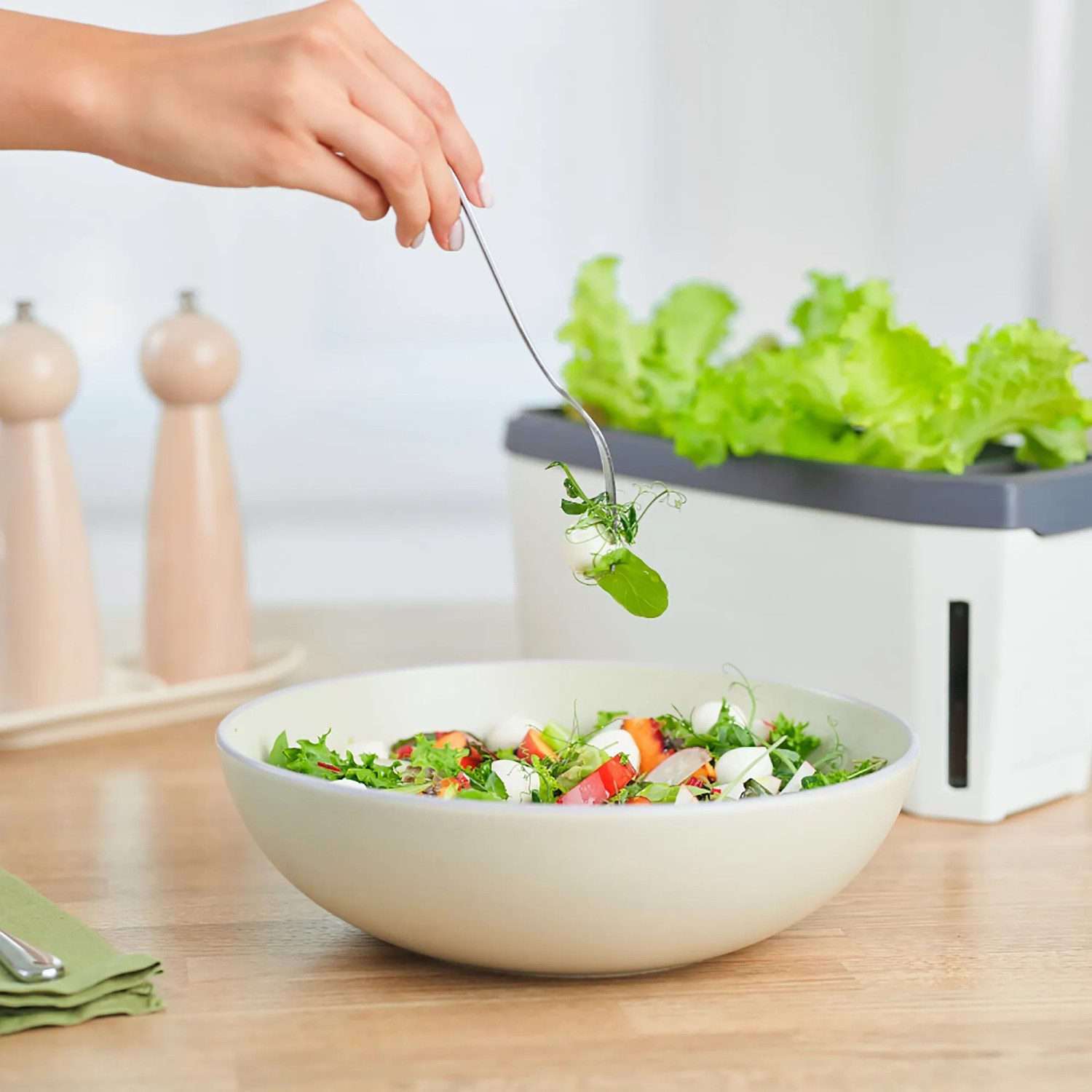 Gusta Garden Harry Herbs Anzuchtsgefäß mit Salat und Kräutern in weiß.