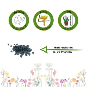 Samen für Schnittknoblauch: Aussaat, Erntezeit, Höhe und Ergiebigkeit der Gartenwelt Kräutersamen.