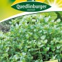 Quedlinburger Majoran Samen: Aromatische Würz- und Heilpflanze für den Garten.