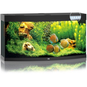 Schwarzes Juwel Vision 260 LED Aquarium-Set mit gebogener Frontscheibe, Pflanzen und Fischen.