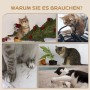 Collage: Katzen beim Spielen und Kratzen, um die Notwendigkeit eines Kratzbaums zu zeigen.