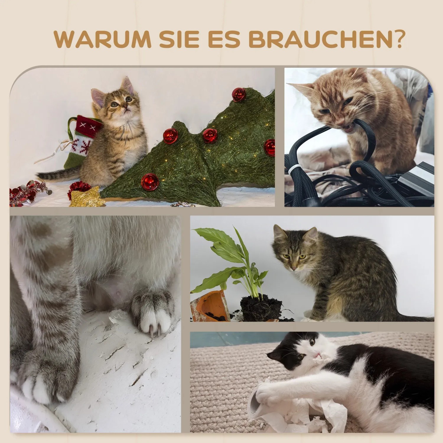 Collage: Katzen beim Spielen und Kratzen, um die Notwendigkeit eines Kratzbaums zu zeigen.