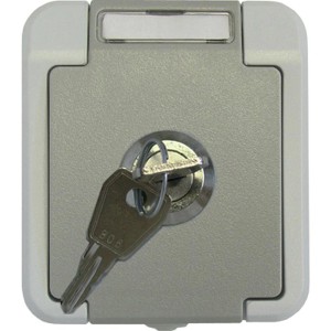 ASS AP/FR Steckdose mit Schloss, IP54 Feuchtraum-Schalterprogramm, grau.