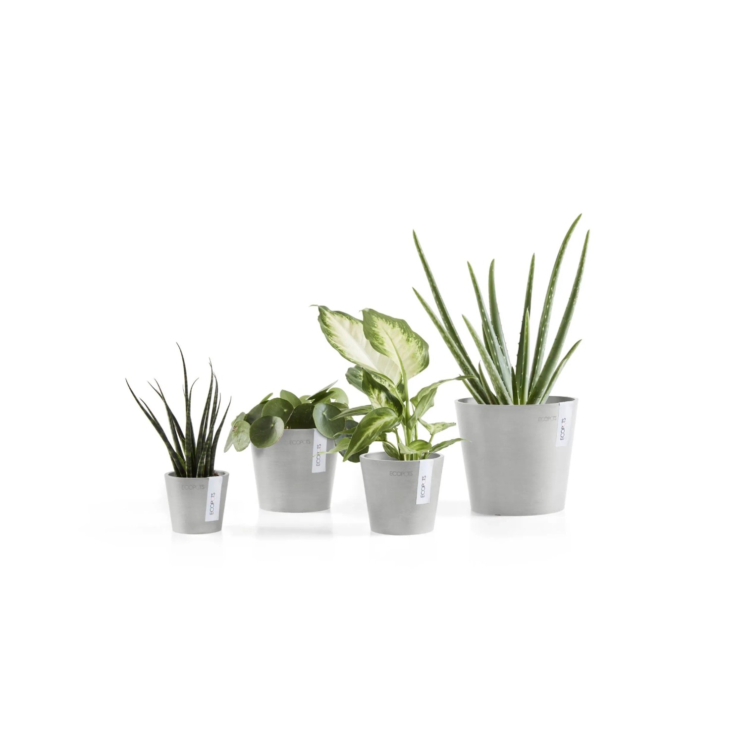 Ecopots Amsterdam Mini Pflanztöpfe, 4 Stück, weißgrau, verschiedene Pflanzen.