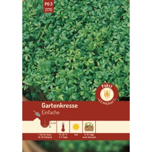 Pabst Keimkraft Gartenkresse Samen, einfache Aussaat für frische Kräuter.